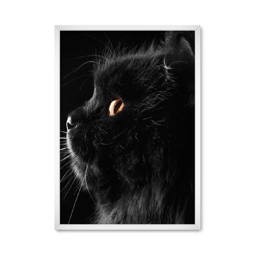 

Постер "Black cat" с антибликовым стеклом 420x594 мм в белой рамке