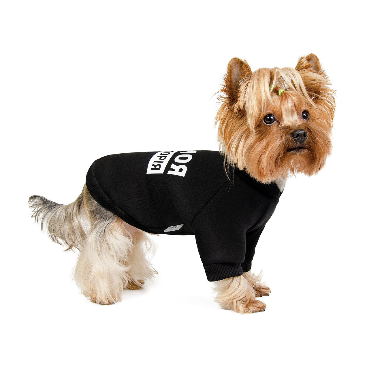 

Толстовка ГАВ Pet Fashion для собак черная, XS