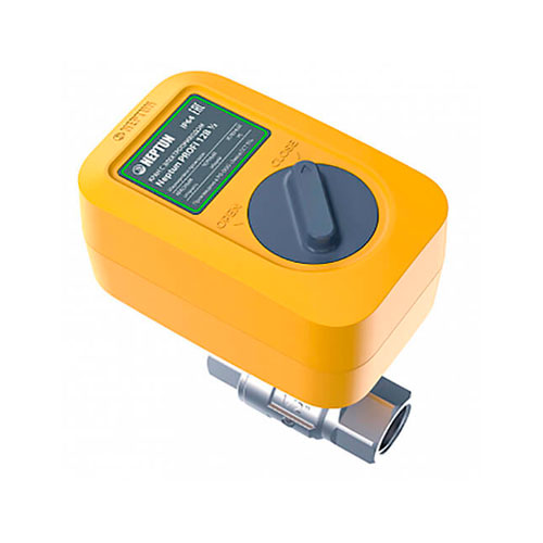 

Кран с электроприводом Neptun PROFI 220B 1 1/4