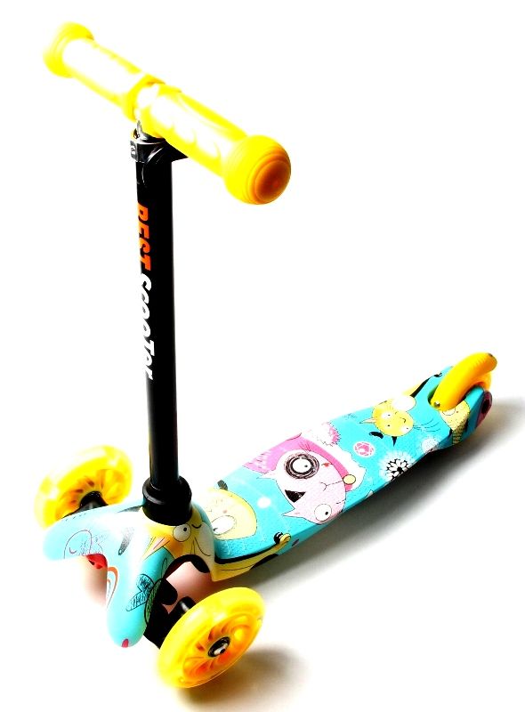 

Самокат Scooter Micro Mini Cool cat