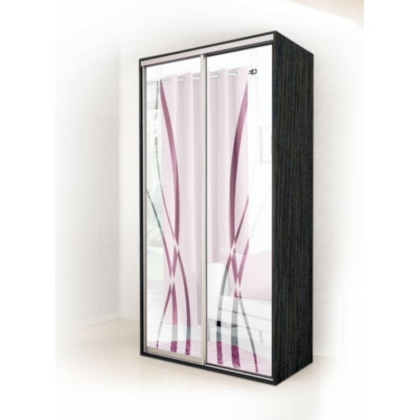 

Шкаф-купе двухдверный в гостиную фасад художественное матирование 100х60 см Modern