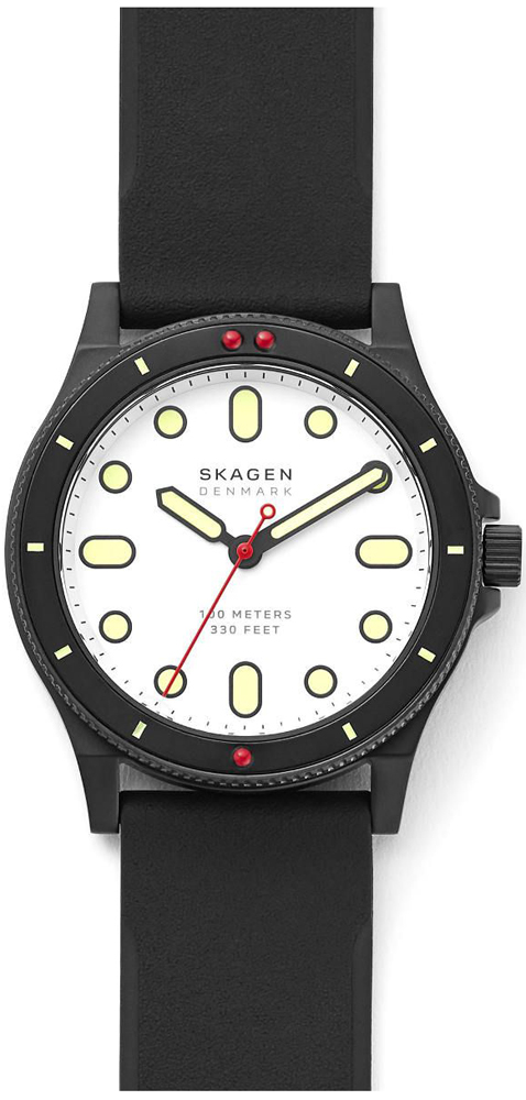 

Мужские часы Skagen SKW6667