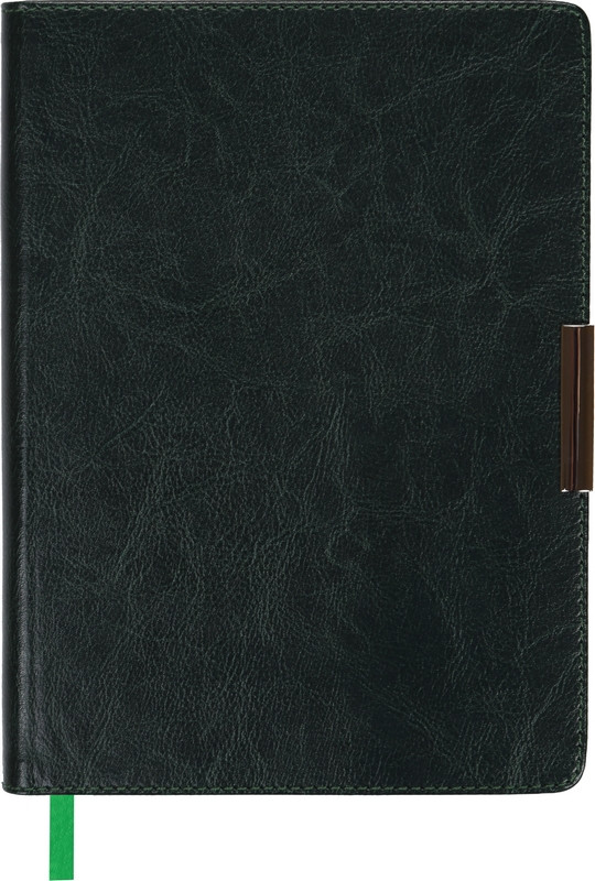 

Ежедневник недатированный Buromax SALERNO LOGO2U A5 зеленый 288 стр иск.кожа (BM.2026-04)