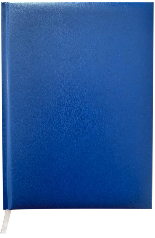 

Ежедневник недатированный Buromax MASTER A5 синий 288 стр (BM.2003-02)