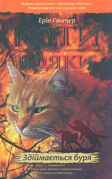 

Коти-вояки. Здіймається буря