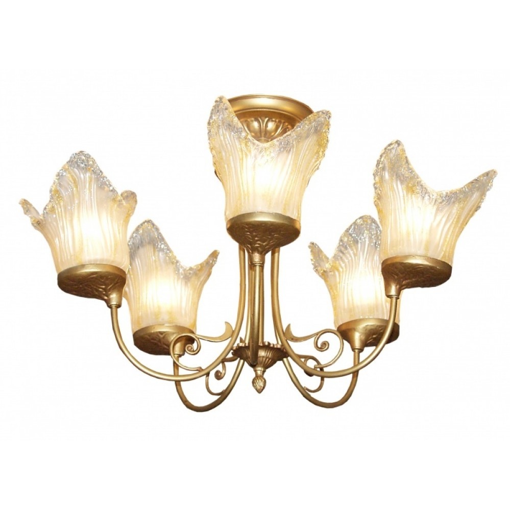 

Brille Br-851S/5C (179022) 166762