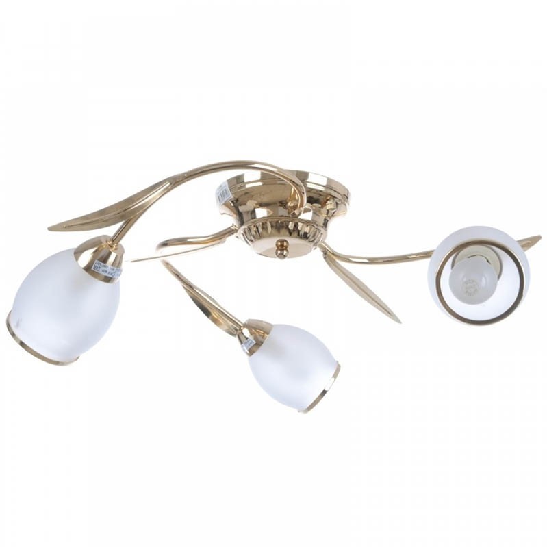 

Brille Lk-155S/3 Fgd (187630) 163919