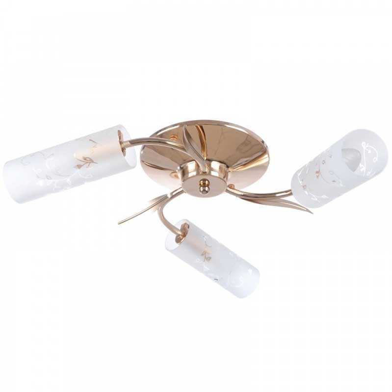 

Brille Lk-89S/3 E14 Fg (L66-025) 165974