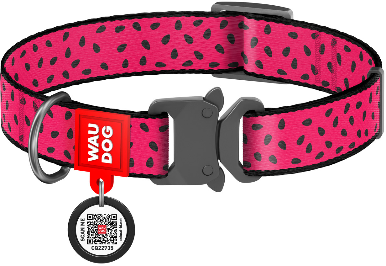 

Ошейник для собак нейлоновый Collar WAUDOG Nylon c QR паспортом, рисунок "Арбуз", металлическая пряжка-фастекс, L, Ш 25 мм, Дл 31-49 см (5148)