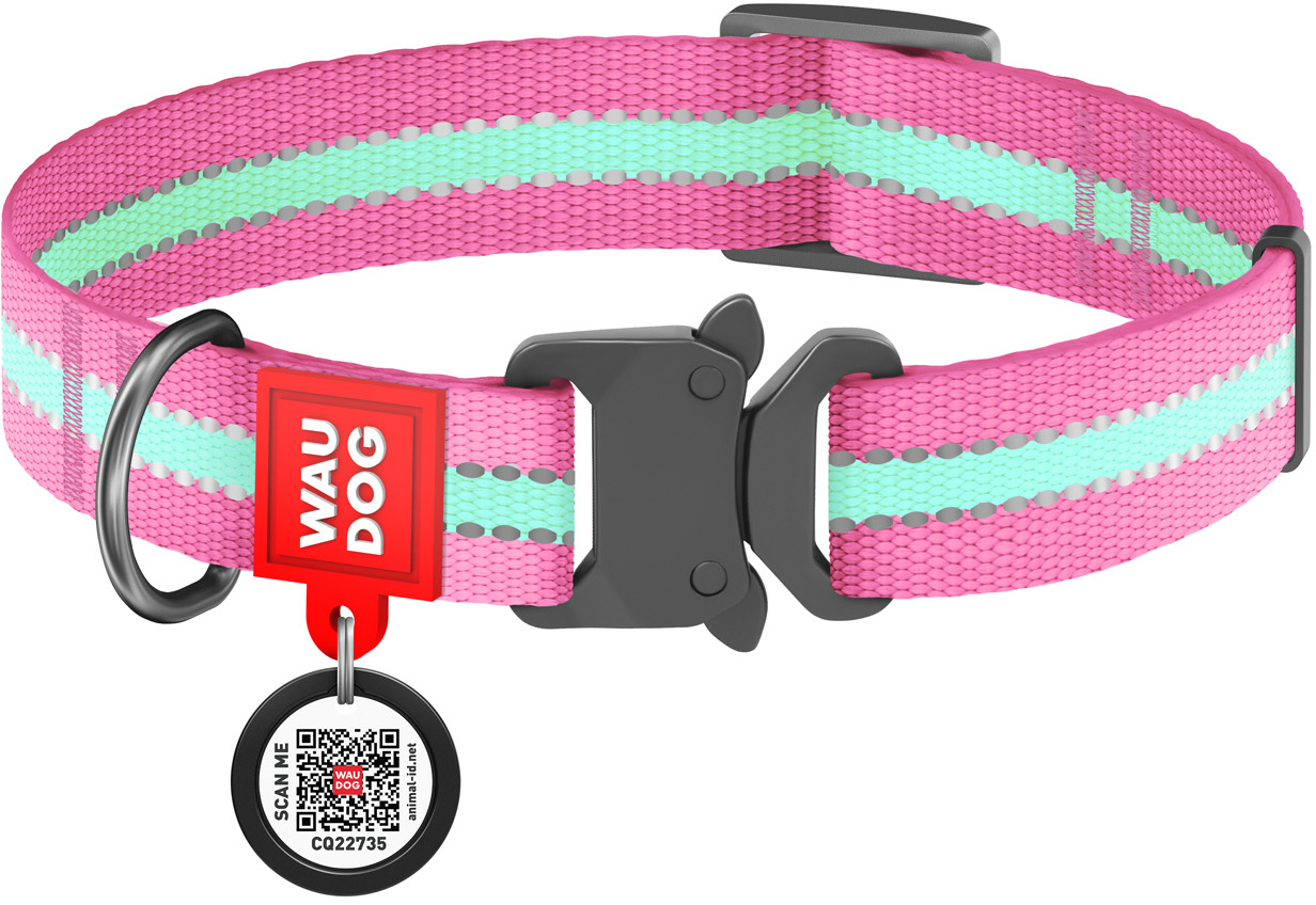 

Ошейник для собак нейлоновый Collar WAUDOG Nylon c QR паспортом, светящийся/светоотражающий, металлическая пряжка-фастекс, XL, Ш 25 мм, Дл 35-58 см (52207)