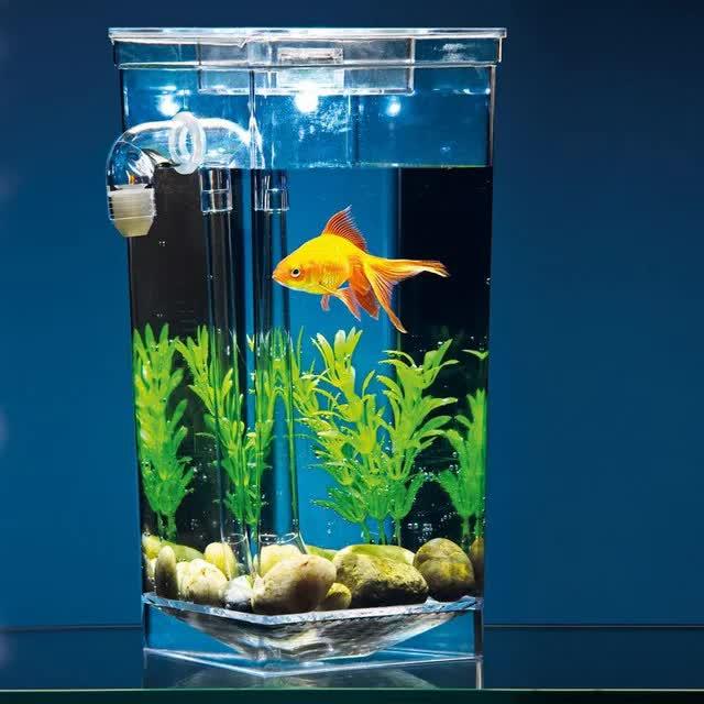 

Маленький самоочищающийся аквариум с LED подсветкой My Fun Fish (HOP-5765)