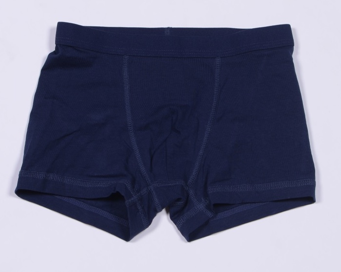 

Трусы-боксеры H&M 06586018 134-140 см Синие