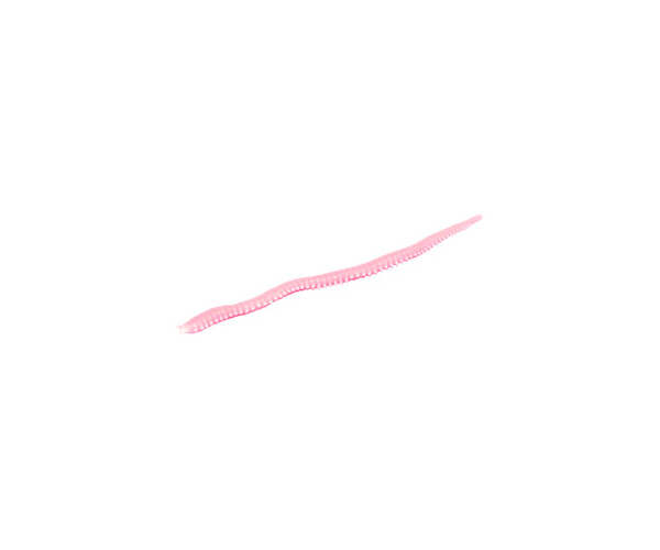 

Черви Marukyu Power Isome (Sakura Isome) Pink Glow L (арт.123418470104)