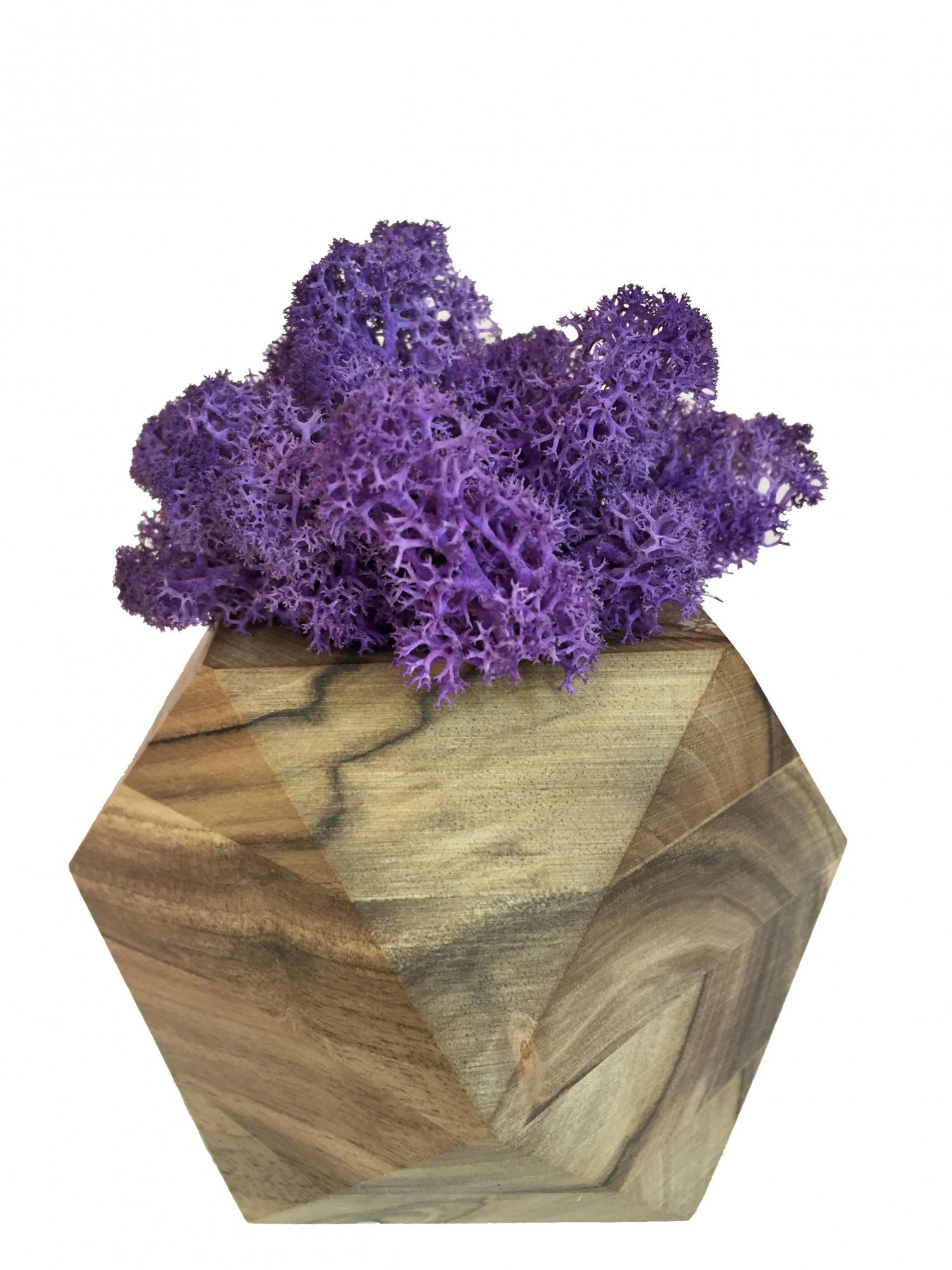 

Стабилизированный мох вазон Reindeer Moss b/093/01/700/9 фиолетовый коричневый