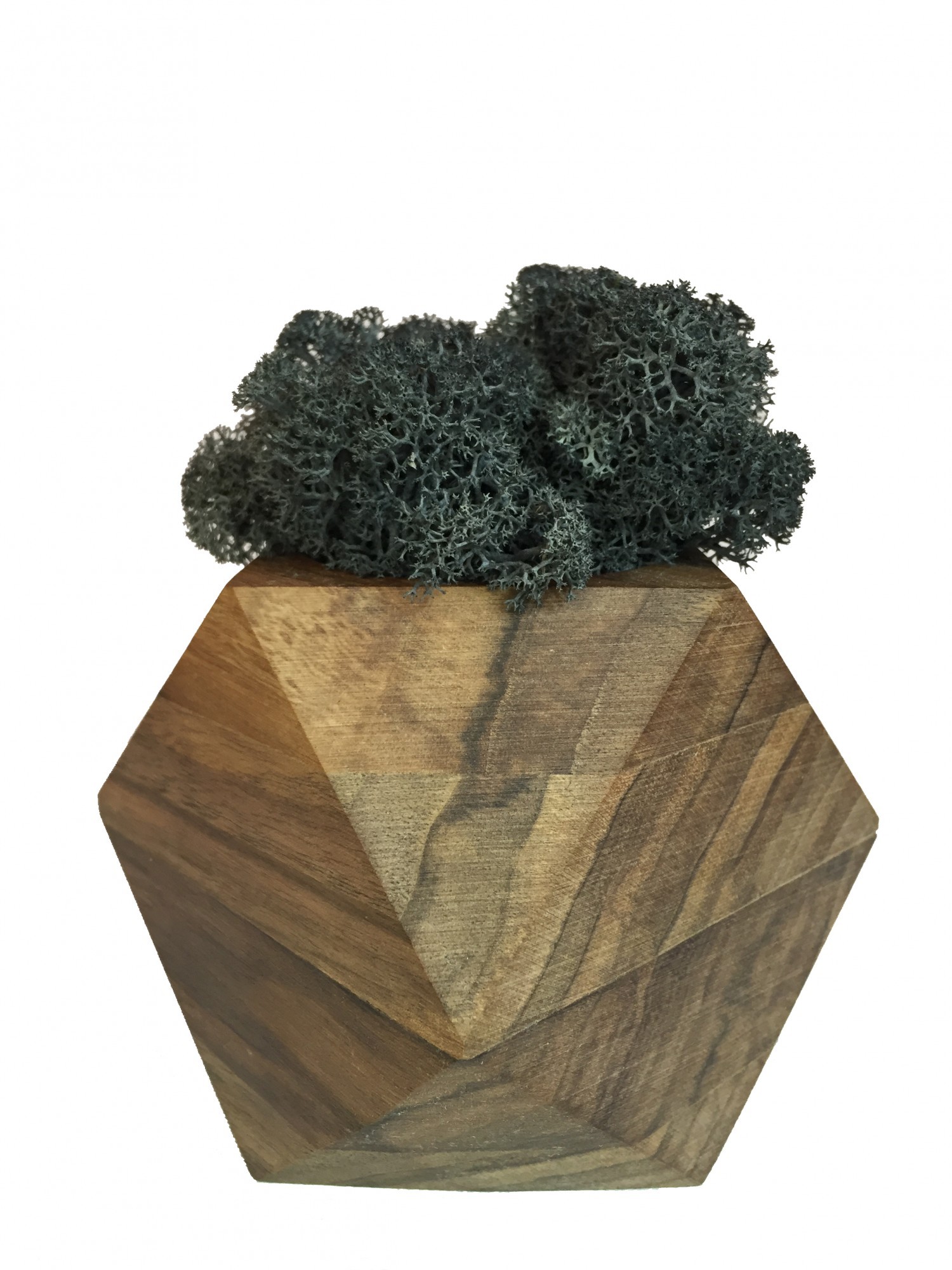 

Стабилизированный мох вазон Reindeer Moss b/093/01/700/9 черный коричневый