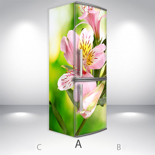 

Наклейки на холодильник 3d, Самоклейка, 200 х 65 см, Лицевая+Левая(А) (holSS1_fl103000 Цветы-4)