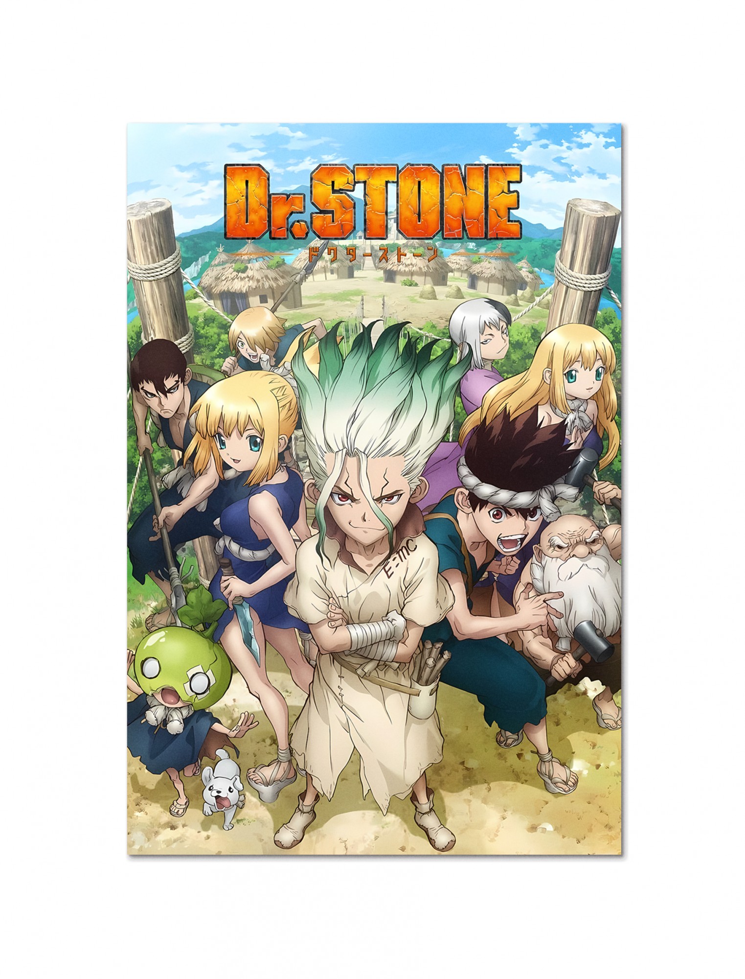 Постер плакат FNBK Доктор Стоун 2 (Dr. Stone) 30x40 см – фото, отзывы,  характеристики в интернет-магазине ROZETKA от продавца: FNBK | Купить в  Украине: Киеве, Харькове, Днепре, Одессе, Запорожье, Львове