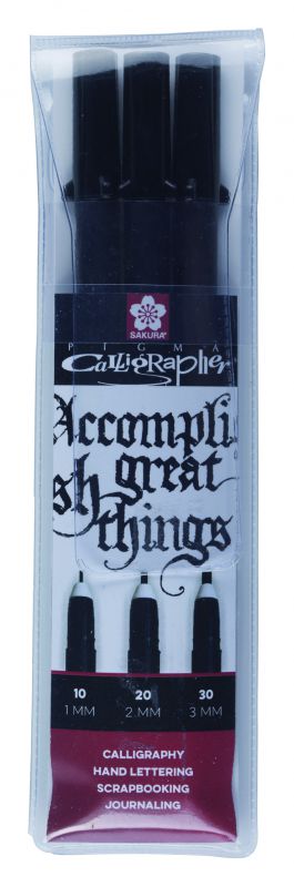 

Набор ручек для каллиграфии Sakura Pigma Calligrapher 3шт.