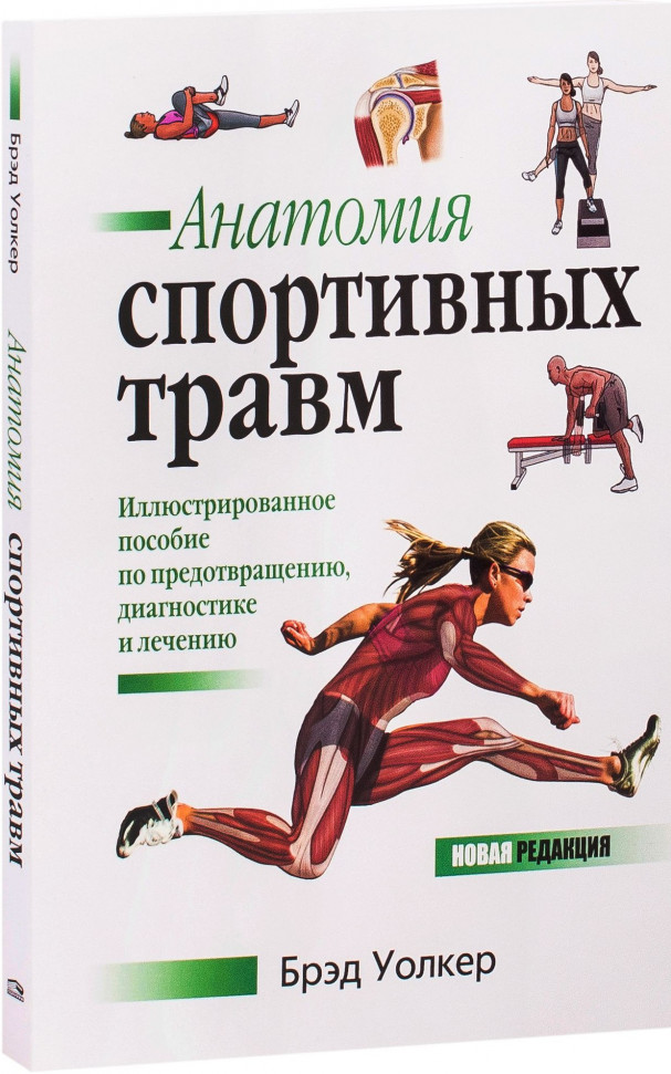 

Анатомия спортивных травм Попурри (559)