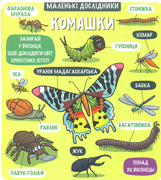 

Комашки. Маленькі дослідники