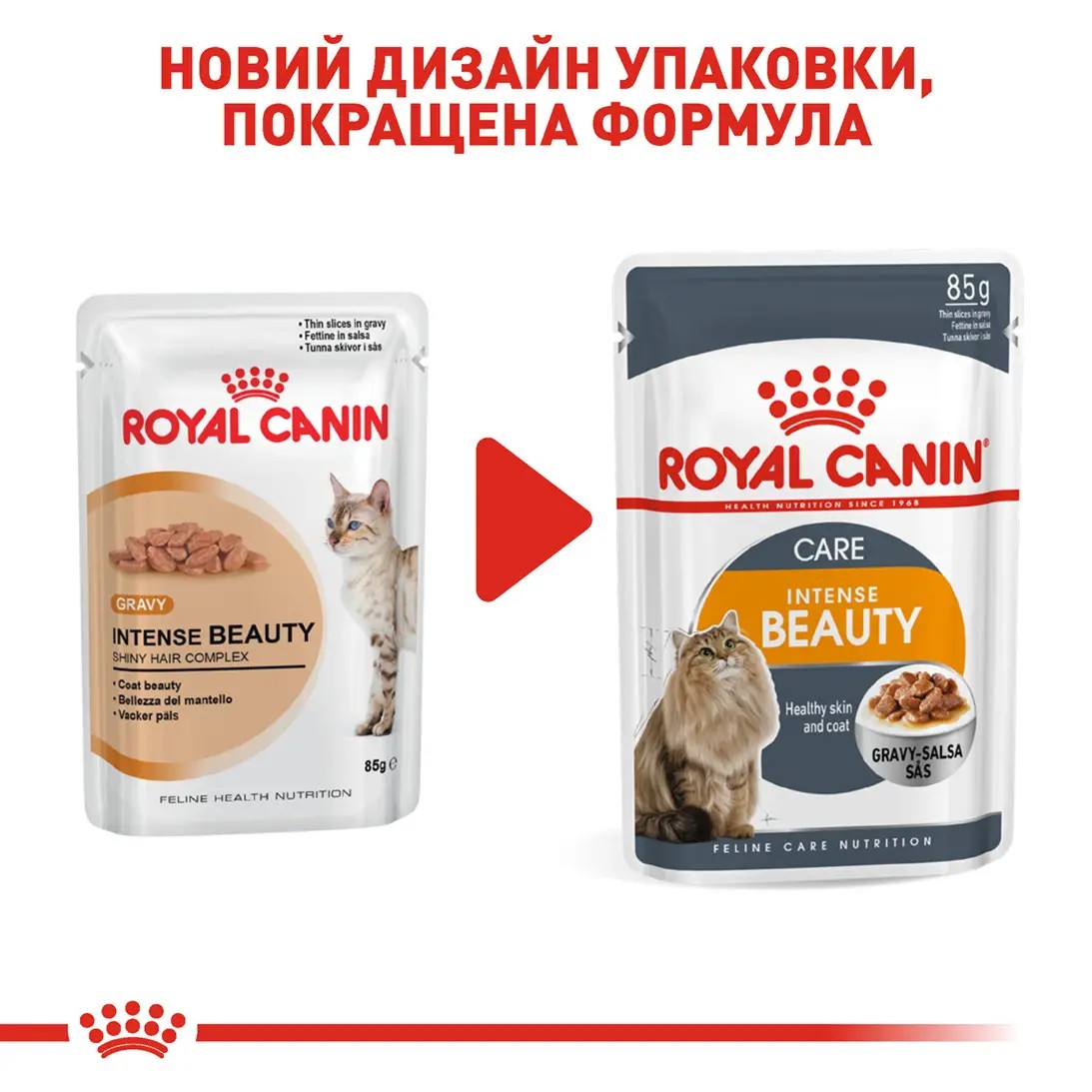 Royal Canin Intense Beauty In Gravy 84