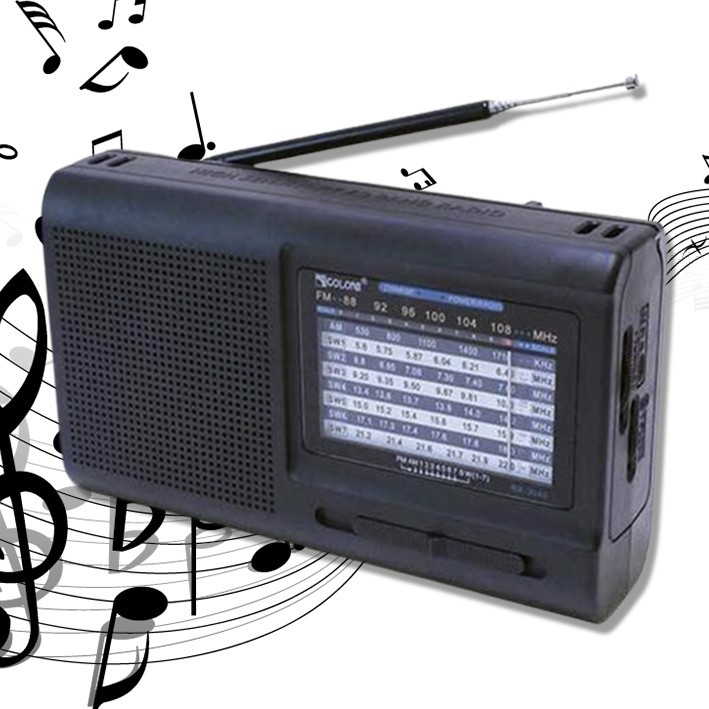 Радио проигрыватель на аккумуляторе портативный FM радиоприемник от USB ...