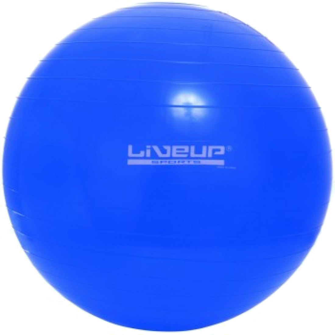 

Фитбол LiveUp Gym Ball 75 см Голубой (LS3221-75b)