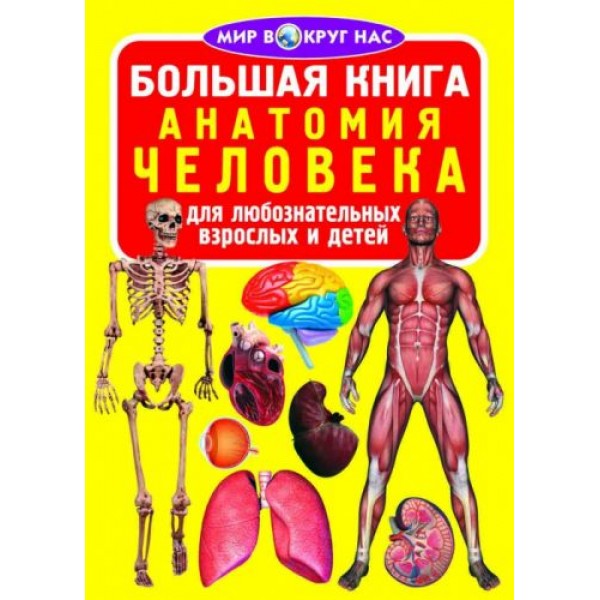 

Книга "Большая книга. Анатомия человека" (рус) F00014411