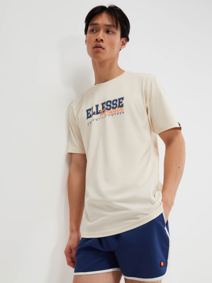 Акція на Футболка бавовняна довга чоловіча Ellesse Zagda T-Shirt SHV20122-904 L Бежева з принтом від Rozetka