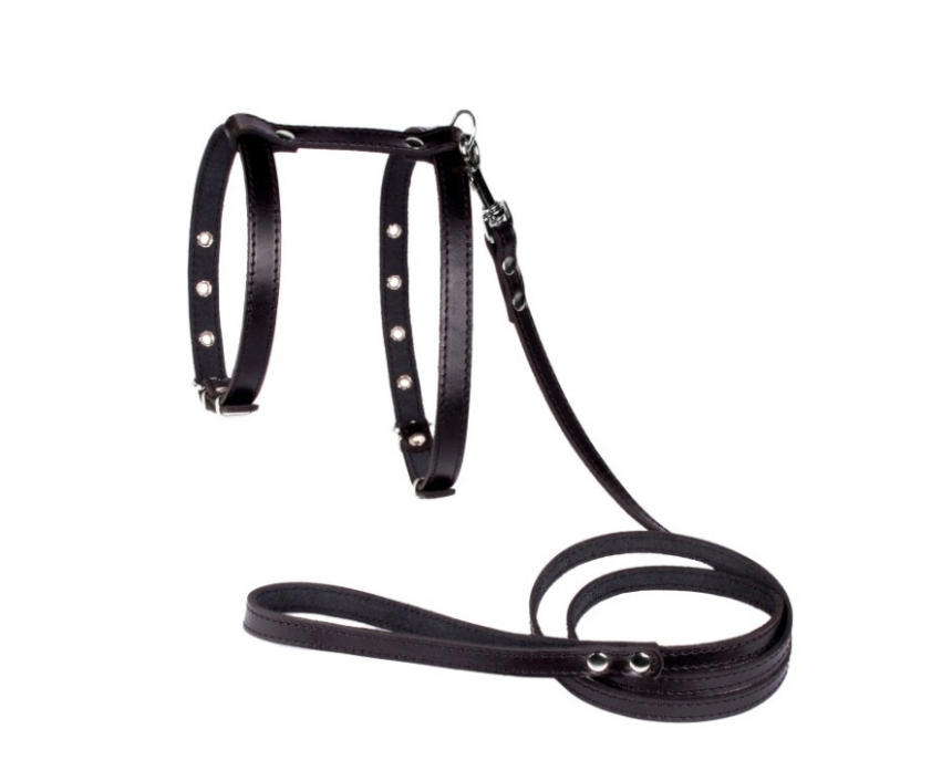

Шлейка и поводок для небольших собак (shl_057) Lockdog S (16-29 см) Черный 000139379