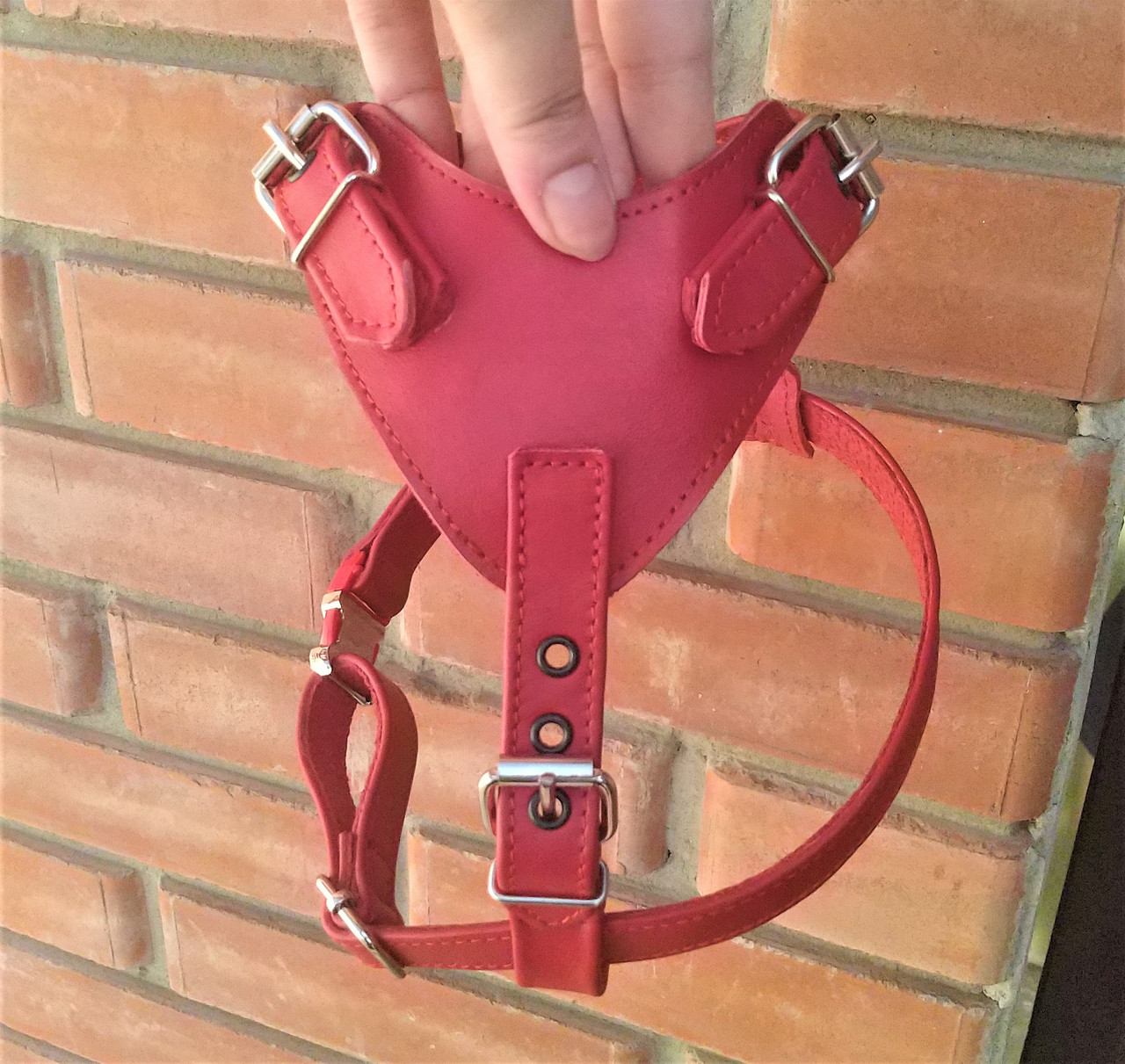 

Шлейка для небольших собак (shl_055) Lockdog M (30-44 см) Красный 000139382