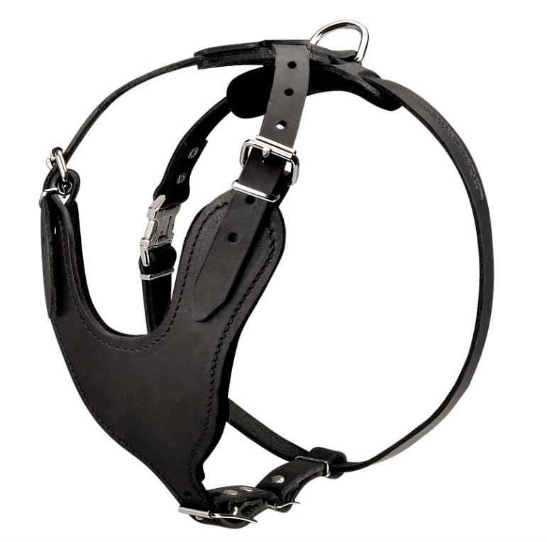 

Шлейка из натуральной кожи для собак (ld045) Lockdog M (30-44 см) Черный 000139354