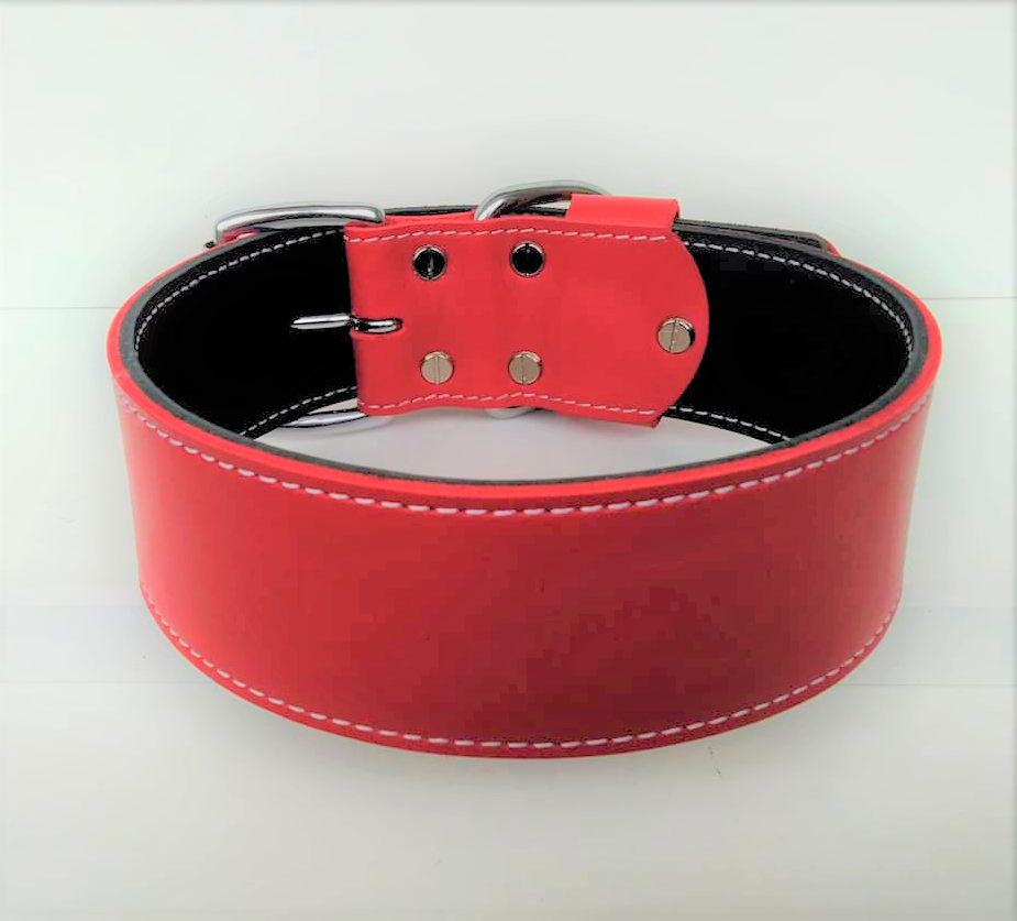 

Кожаный ошейник для собаки (ld096) Lockdog L (45-55 см) Красный 000139374