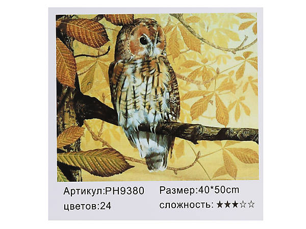

Картина по номерам "Сова на ветке" 40*50см Shinerichy Ind (9380)