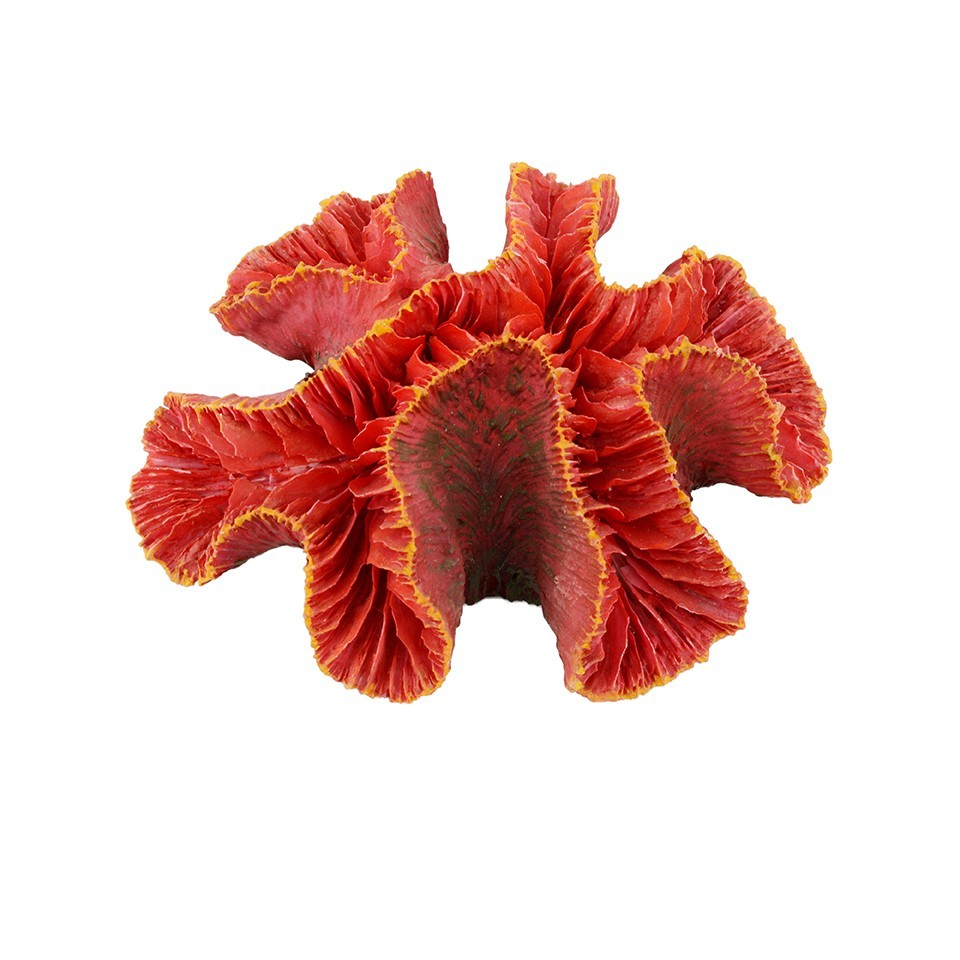

Декорация Tetradon Коралл 12х10х4.5 см (HCL014)