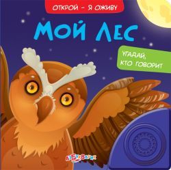 

Музыкальная книга Азбукварик Мой лес (978-5-490-00060-0)