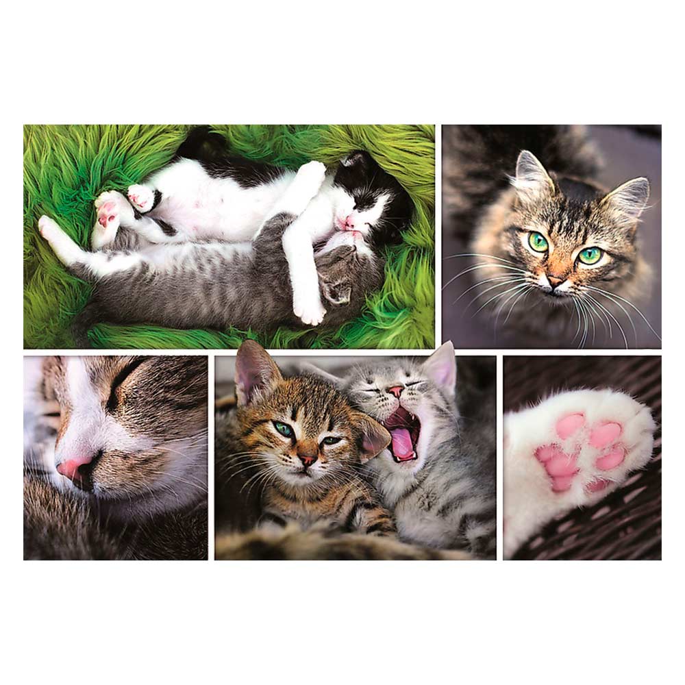 

Пазли - (1500 елм.) - "Прості котячі справи" / Колаж/Trefl