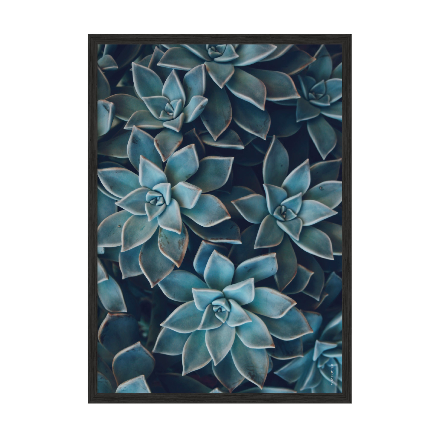 

Постер "Leaves 03" без стекла 42 x 59.4 см в чёрной рамке