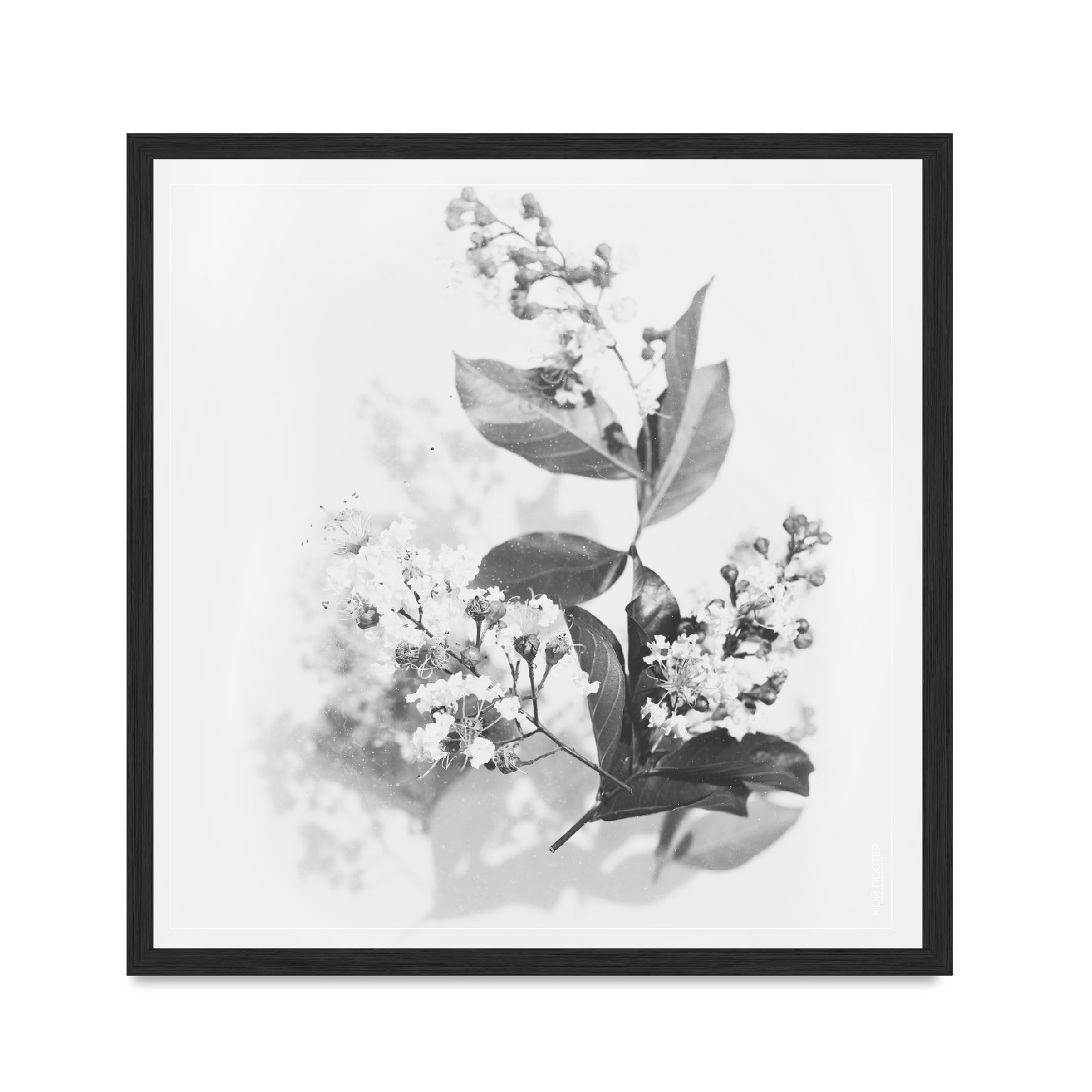 

Постер "Flowers 02" с антибликовым стеклом 60 x 60 см в чёрной рамке