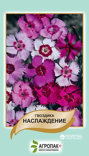 Гвоздика периста Legutko Насолода (Dianthus plumarius) 0.05 г ...