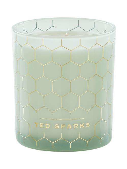 

Свеча ароматическая Ted Sparks Зеленый Чай и Шалфей Green Tea Sage Ted Sparks