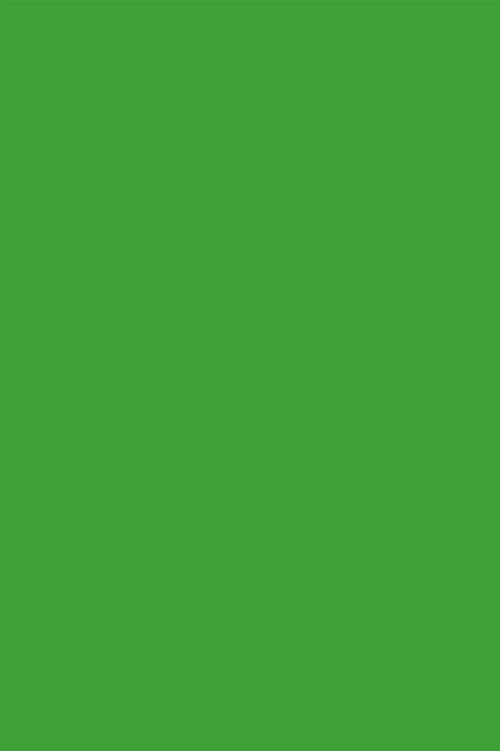 

Фон паперовий Savage Widetone Tech Green Chromakey рулон 1.36 x 11 м (46-1253)