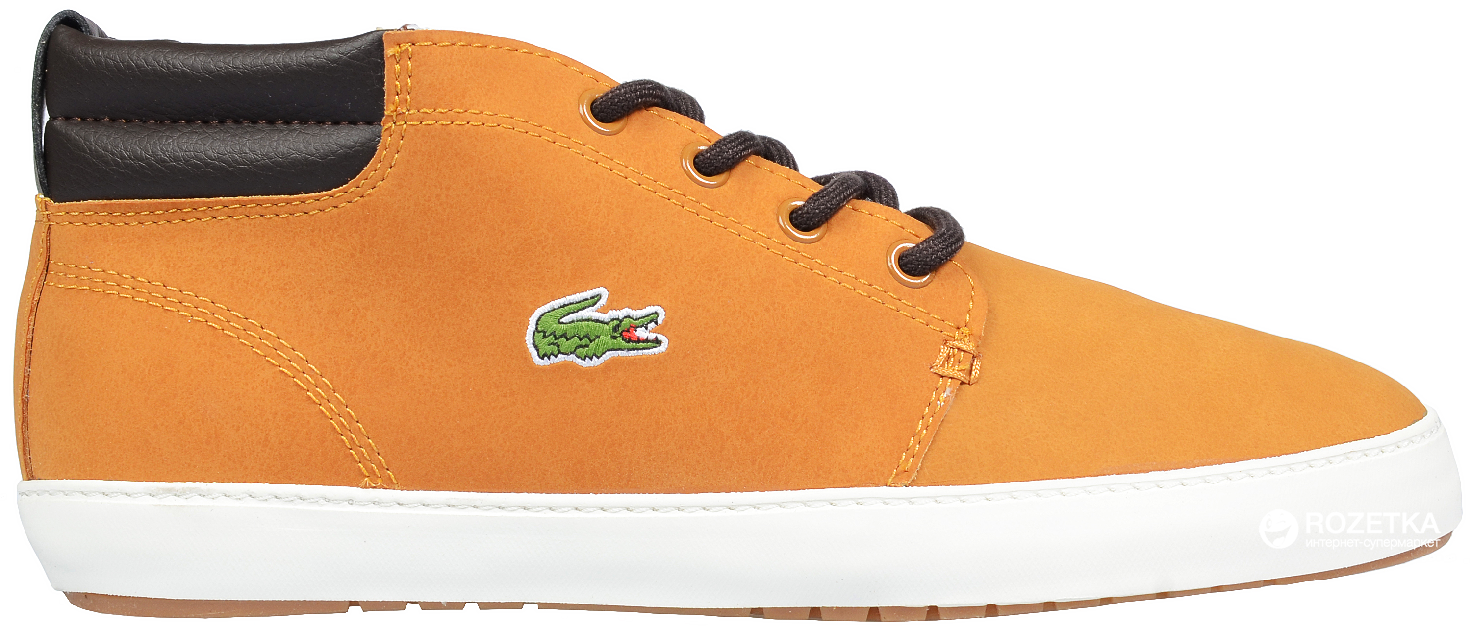 Lacoste ampthill hot sale terra put