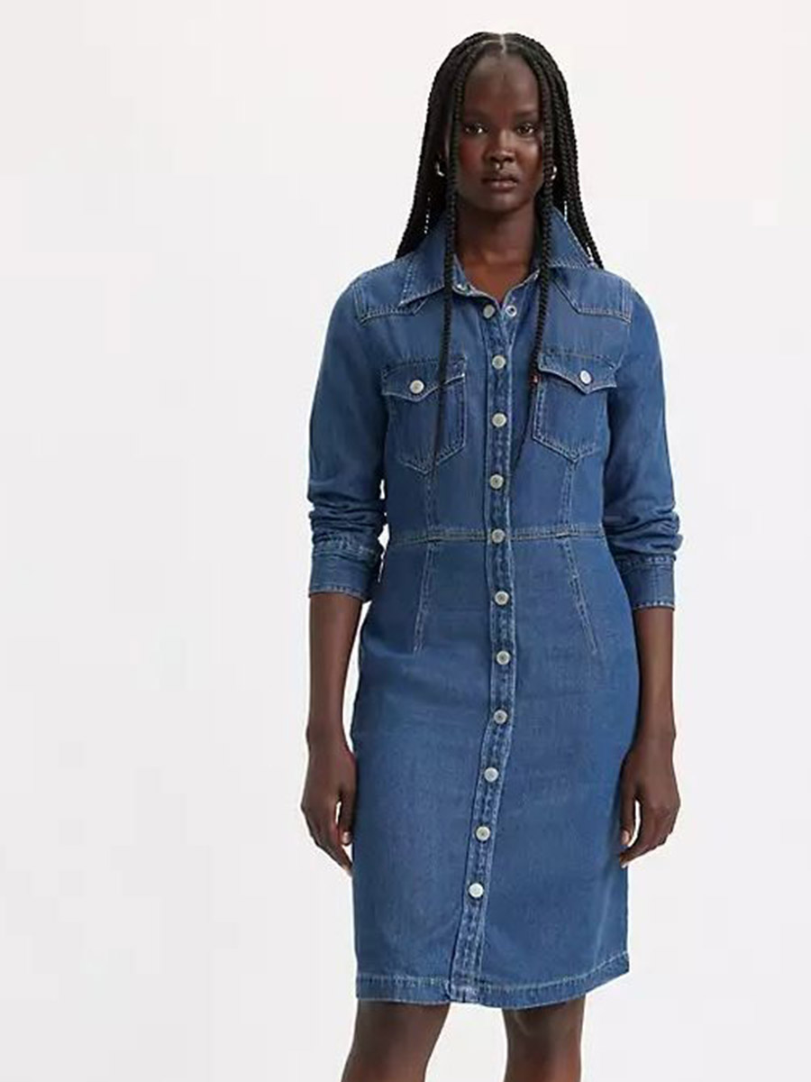 Акція на Плаття-сорочка міді літнє жіноче Levi's Otto Western Dress A7565-0000 L Square Deal 2 від Rozetka