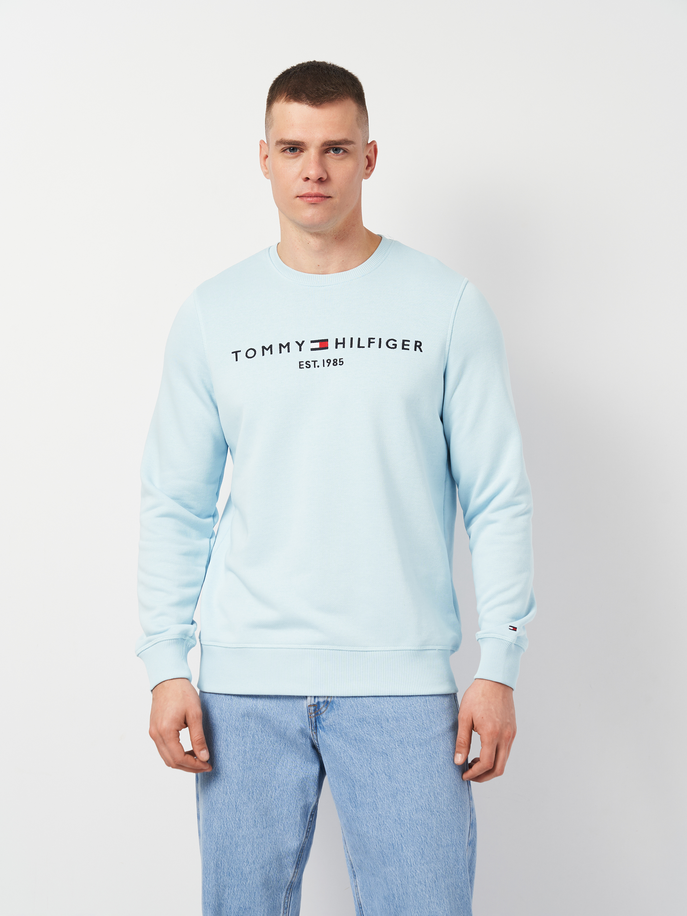 Акція на Світшот чоловічий Tommy Hilfiger 11402.2 S Блакитний від Rozetka