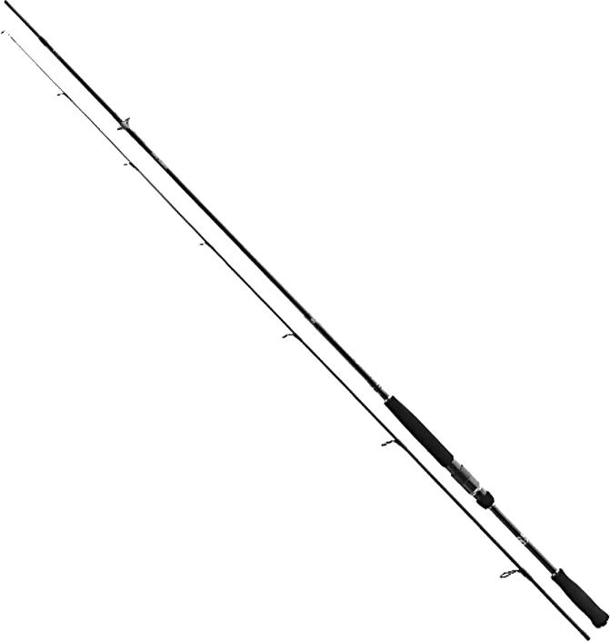 

Удилище Daiwa Prorex AGS 2.4 м 30-70 г (11290-243)