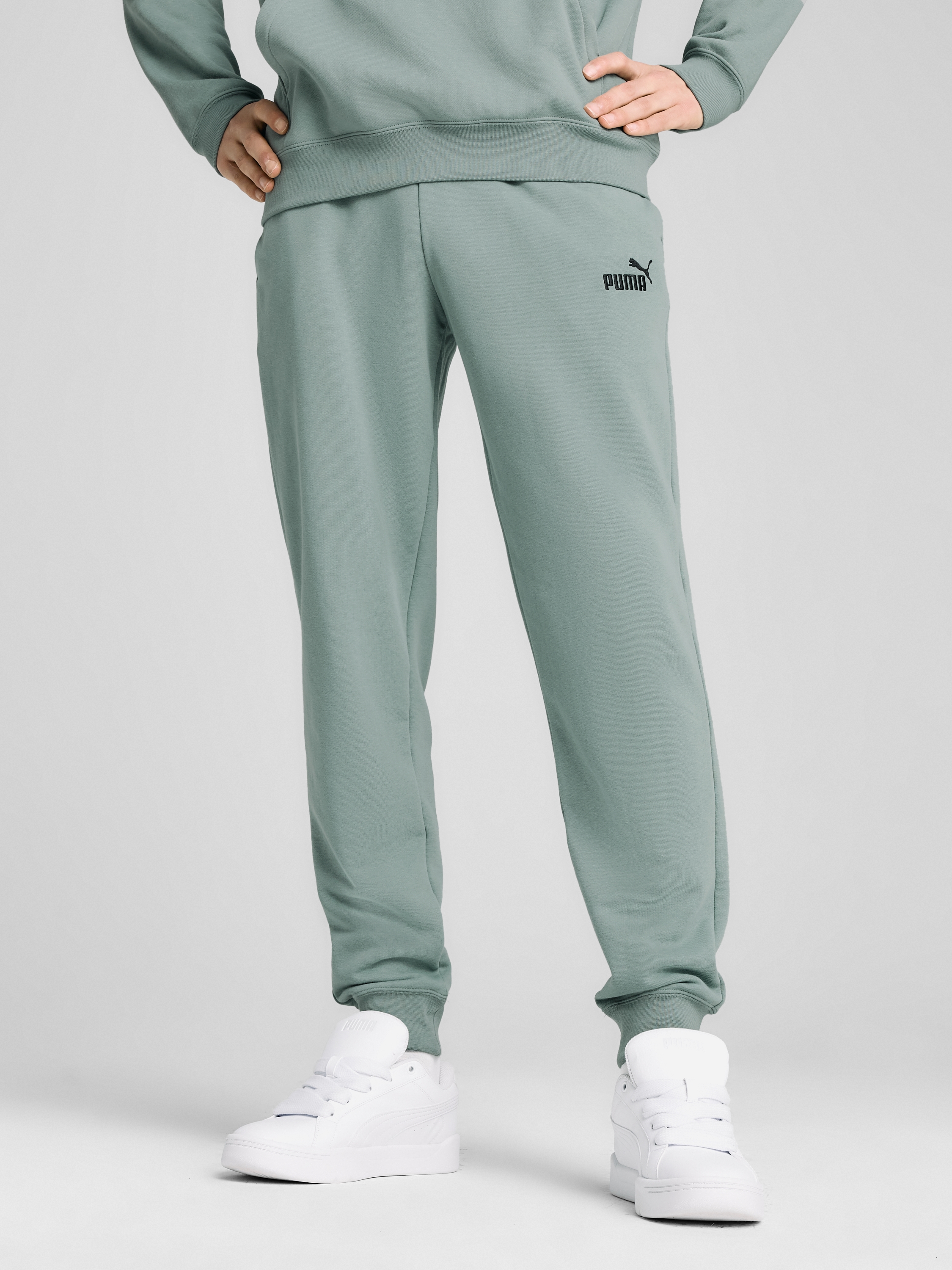 Акція на Спортивні штани чоловічі Puma Ess No. 1 Logo Sweatpants Tr Cl (S) 68260930 XL Green Moon від Rozetka