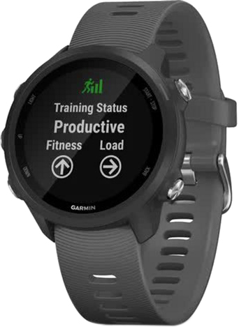 

Спортивные часы Garmin Forerunner 245 Slate Gray (010-02120-00)