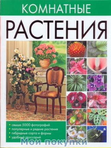 

Комнатные растения