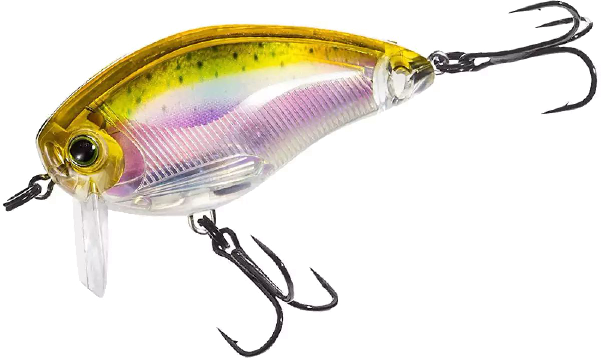 

Воблер Yo-Zuri 3DR Wake Bait (F) 50 мм 8.5 г RRT (R1313-RRT)